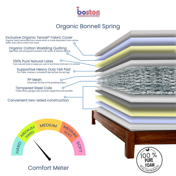 Bonnell Spring Cross Section